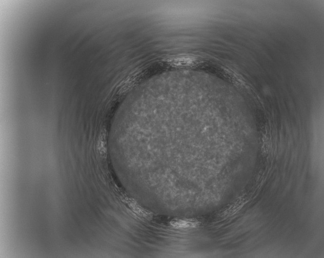 X0000058760561200510281921