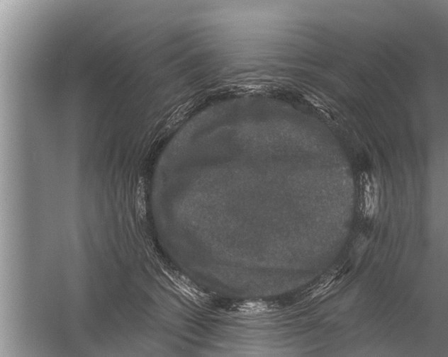 X0000058760562200510281921