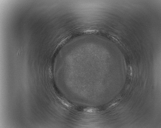 X0000058760564200510281921