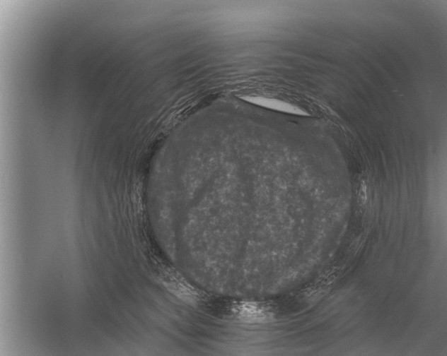 X0000058760565200510281921