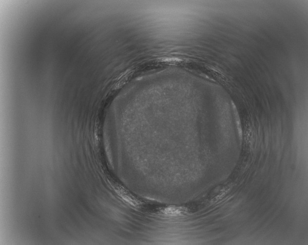 X0000058760566200510281921