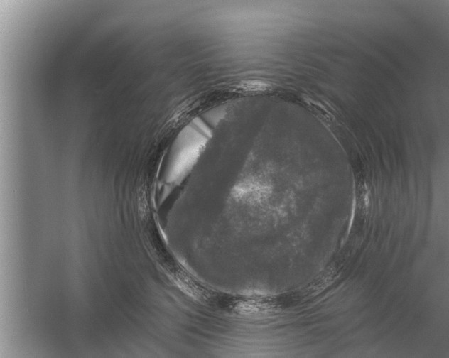 X0000058760568200510281921