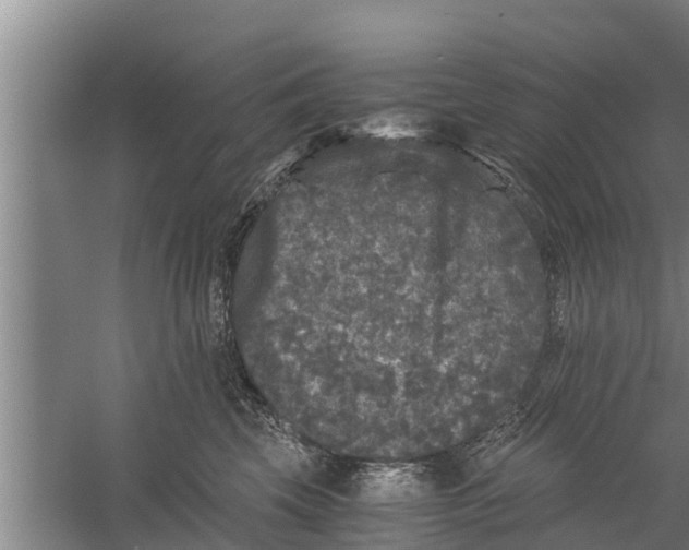 X0000058760569200510281921