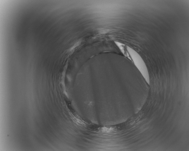 X0000058760570200510281921