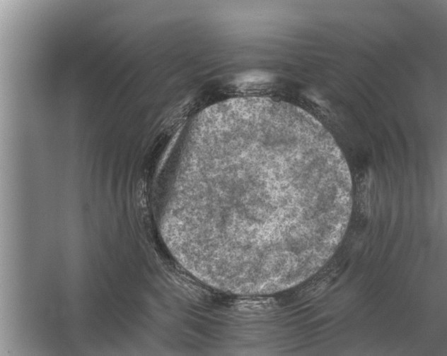 X0000058760571200510281921