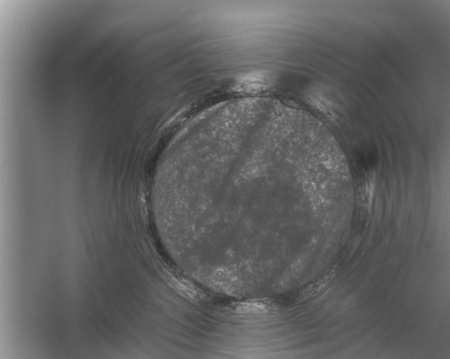 X0000058760572200510281921