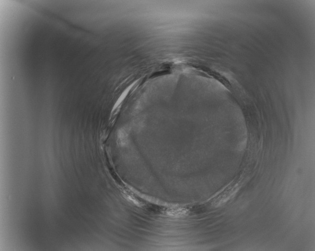 X0000058760576200510281921