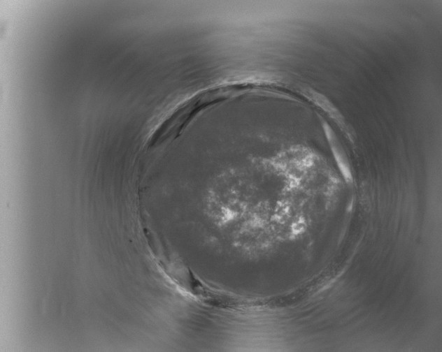 X0000058760577200510281920