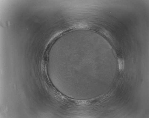 X0000058760579200510281920