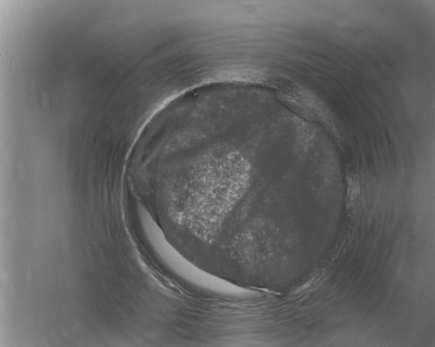 X0000058760580200510281920