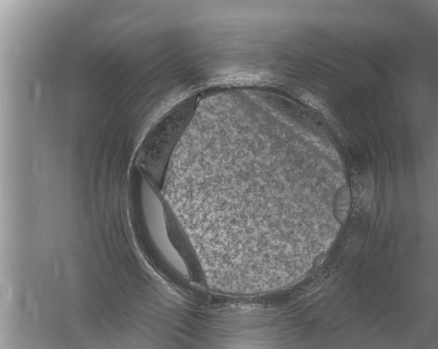 X0000058760582200510281920