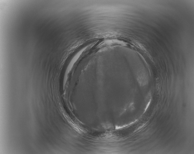 X0000058760589200510281920