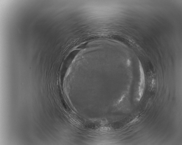 X0000058760593200510281920