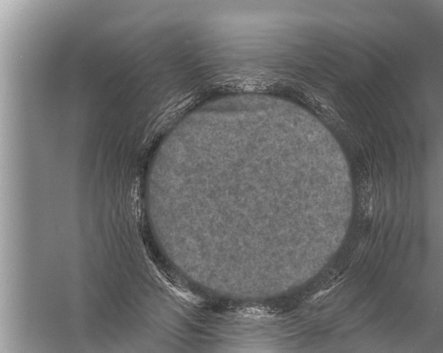 X0000058760594200510281920