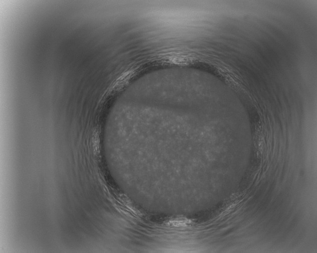 X0000058760595200510281920