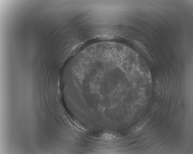 X0000058760596200510281920