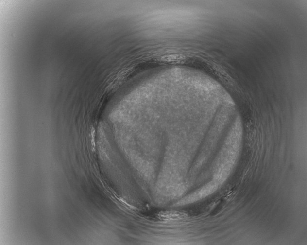 X0000058760597200510281920