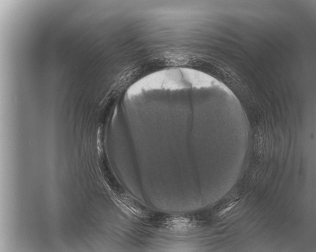 X0000058760598200510281920