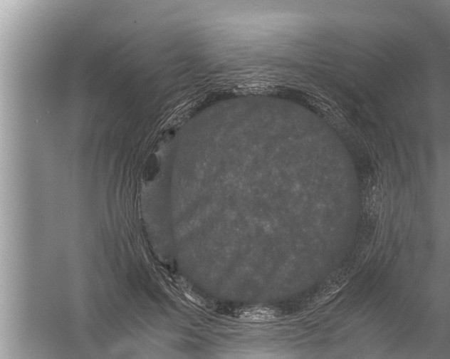 X0000058760599200510281920