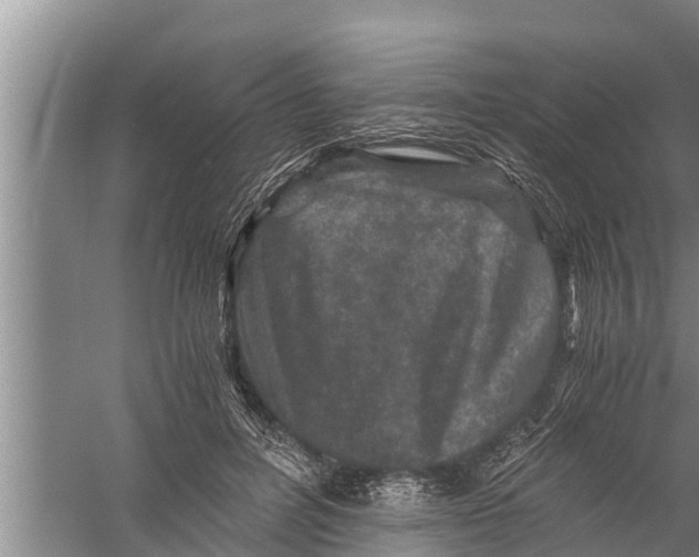 X0000058760600200510281920