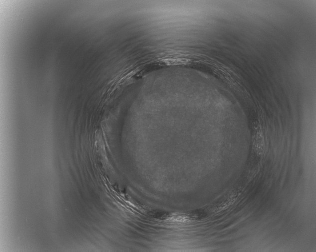 X0000058760604200510281920