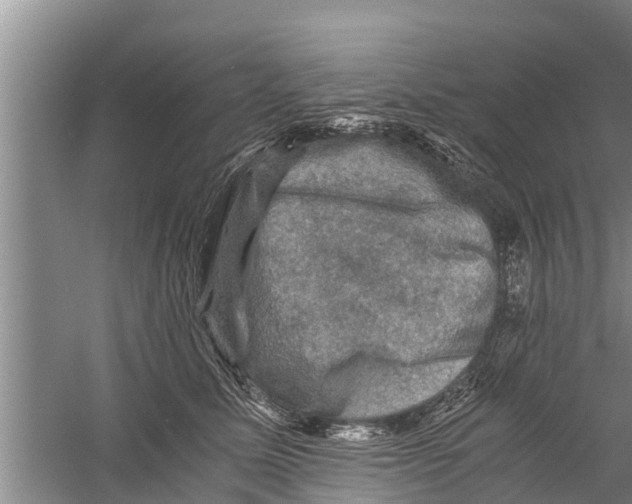 X0000058760611200510281920