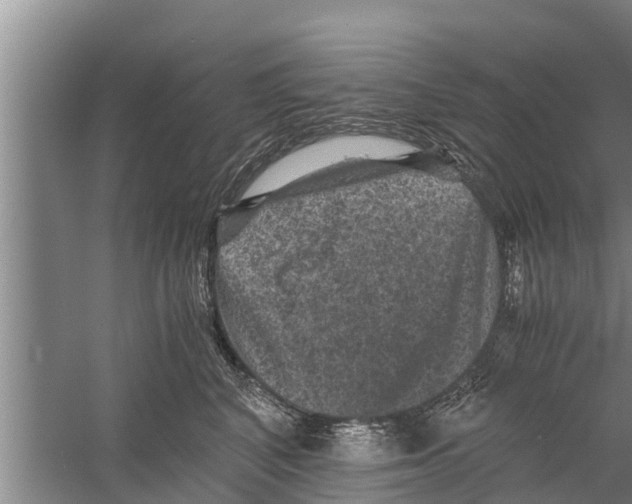 X0000058760616200510281920