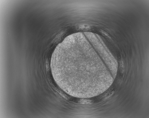 X0000058760617200510281920