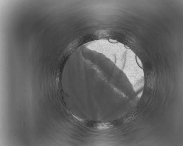 X0000058760618200510281920