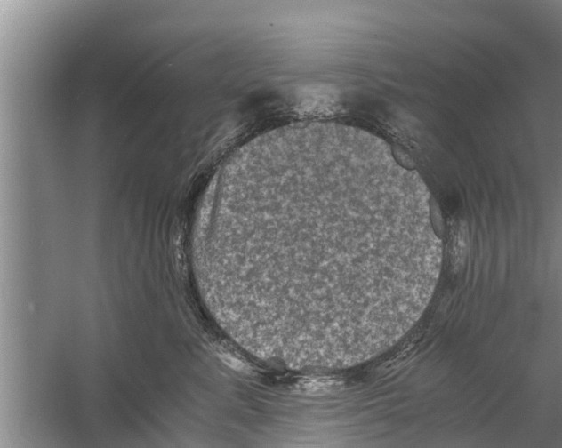 X0000058760619200510281919