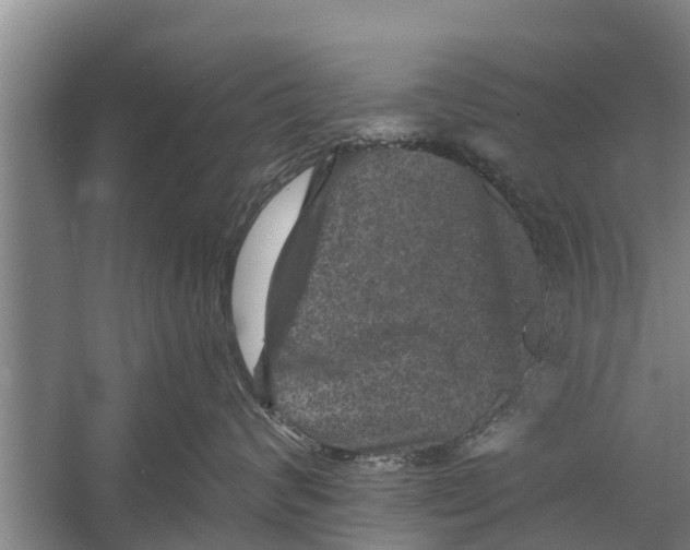 X0000058760624200510281919