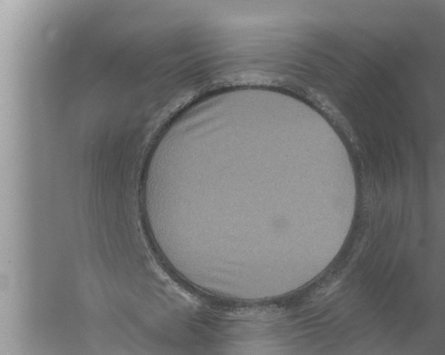 X0000058760625200510281919