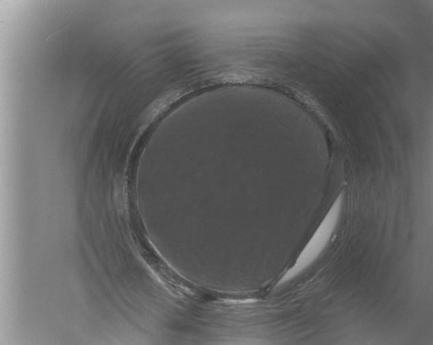 X0000058760626200510281919