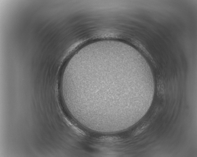 X0000058760629200510281919