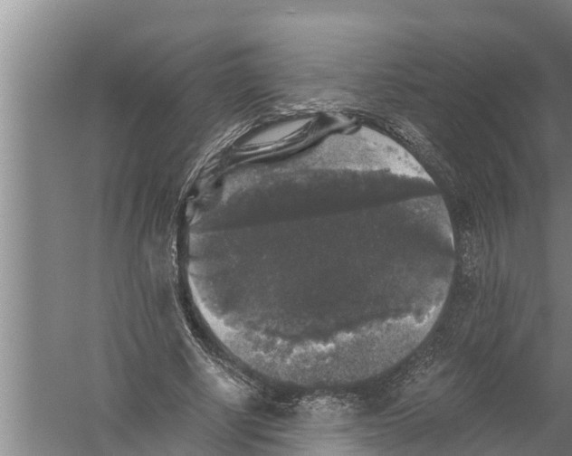 X0000058760634200510281919