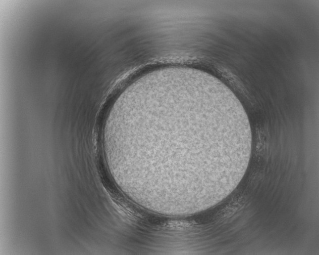 X0000058760636200510281919