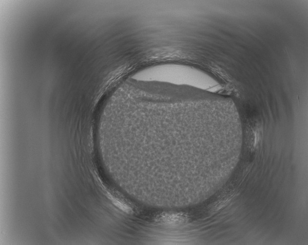 X0000058760638200510281919