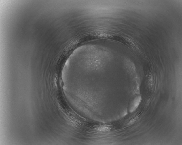 X0000058760643200510281919