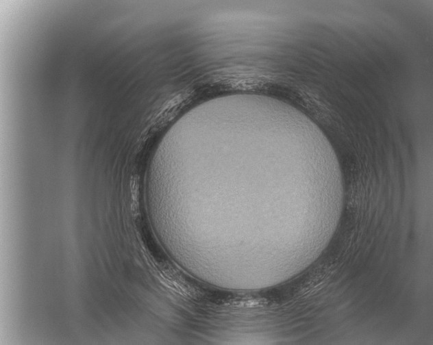 X0000058760646200510281919