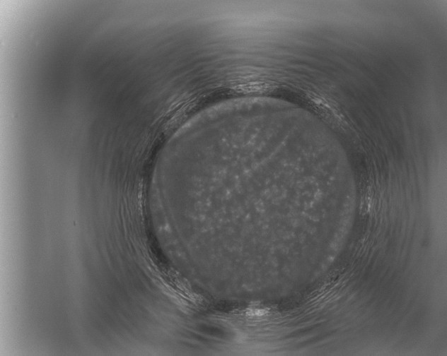 X0000058760647200510281919