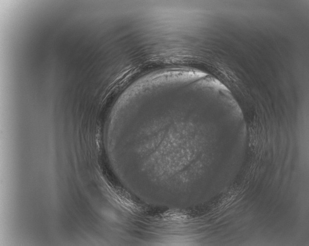 X0000058760648200510281919