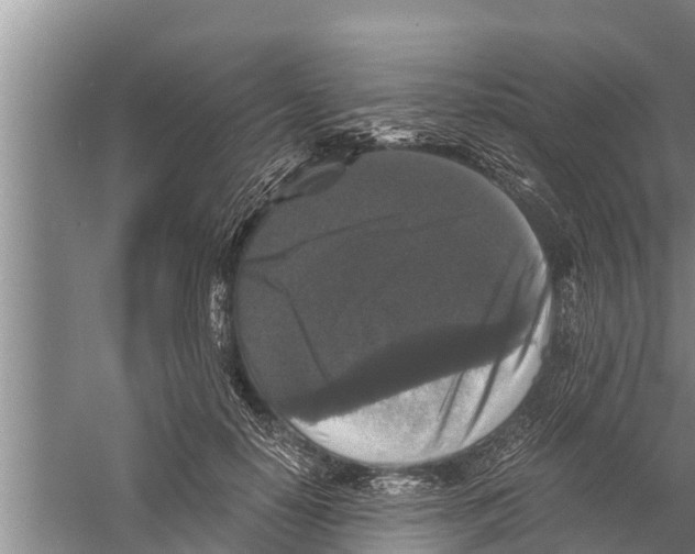 X0000058760650200510281919