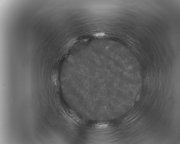 X0000058760651200510281919