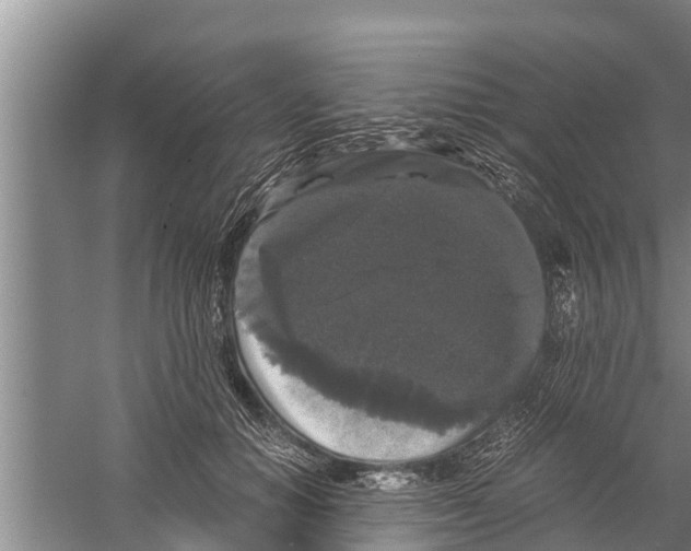 X0000058760654200510281919