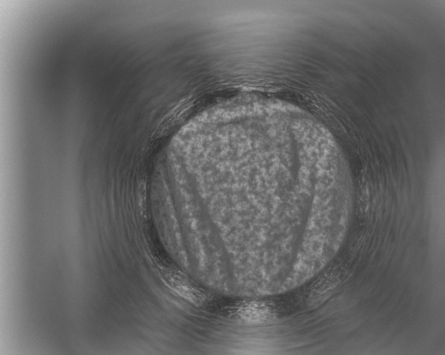 X0000058760656200510281919