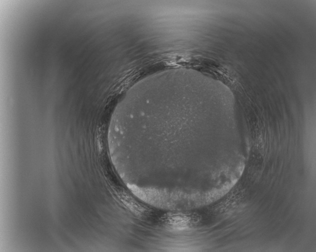 X0000058760658200510281919