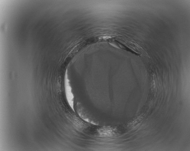 X0000058760661200510281919