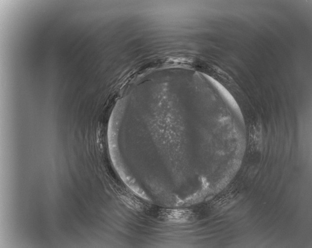 X0000058760663200510281919