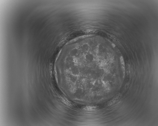 X0000058760664200510281919