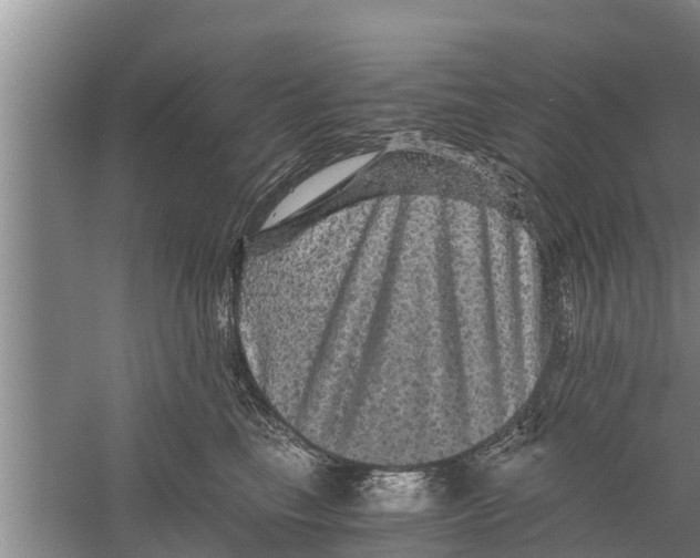 X0000058760665200510281919